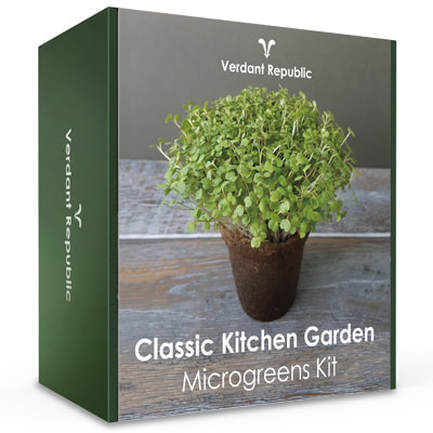 Classic Kitchen Garden Organic Microgreens Kit box