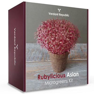 Purplicious Organic Microgreens Kit Single Box